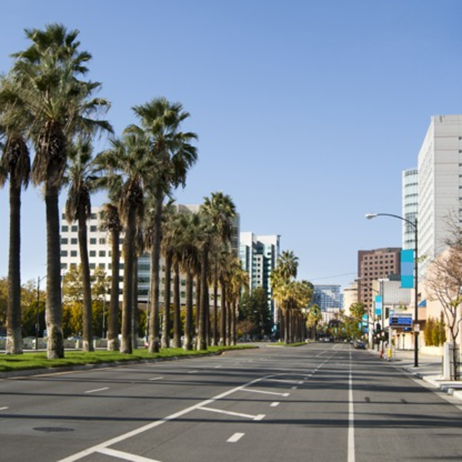 Sanjose1