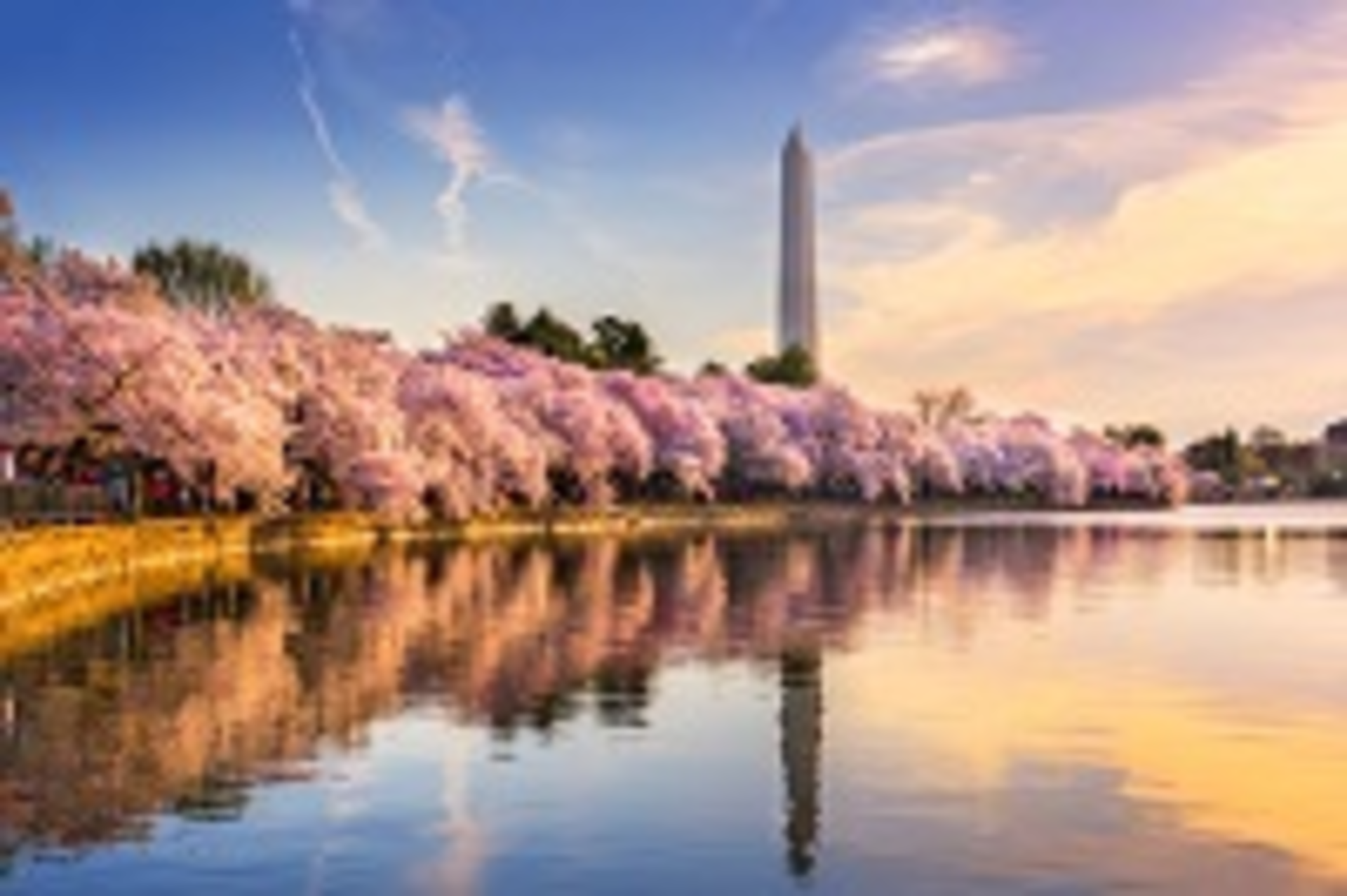 Wasington Shutterstock 527729869