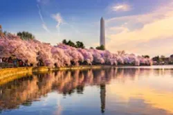 Wasington Shutterstock 527729869 Wasington Shutterstock 527729869