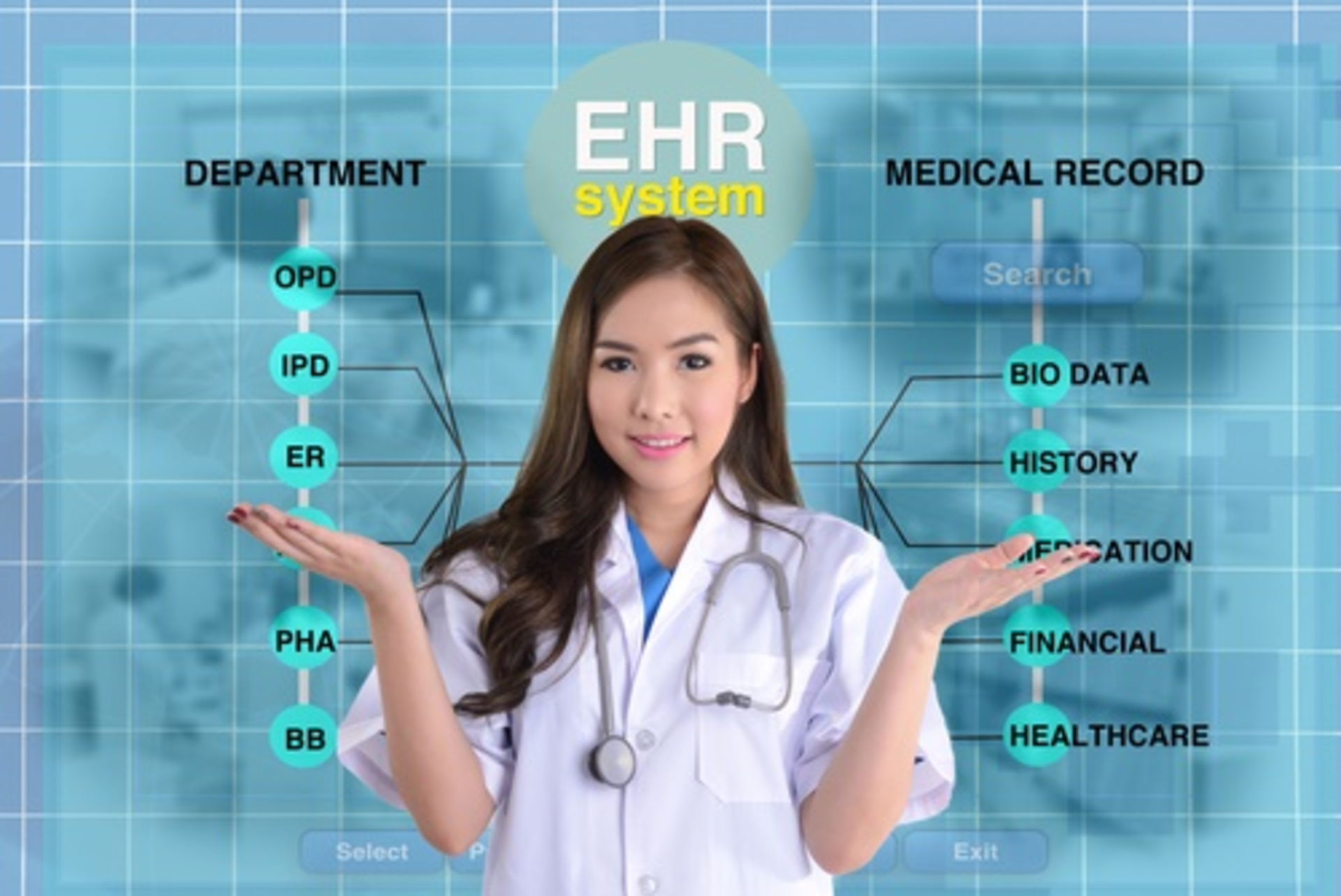 Ehr System Value