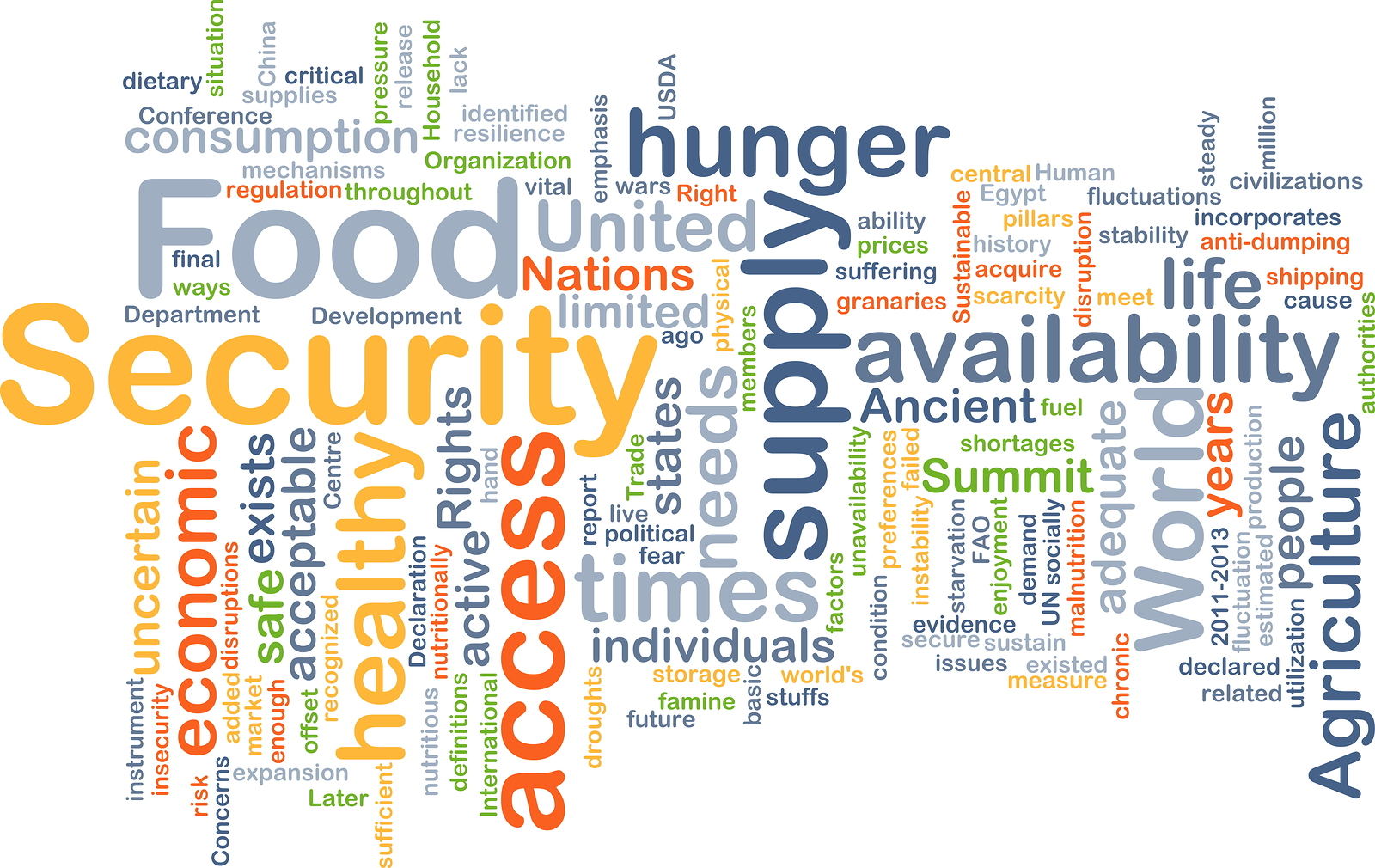 Food Insecurity 5ce6d155a67be