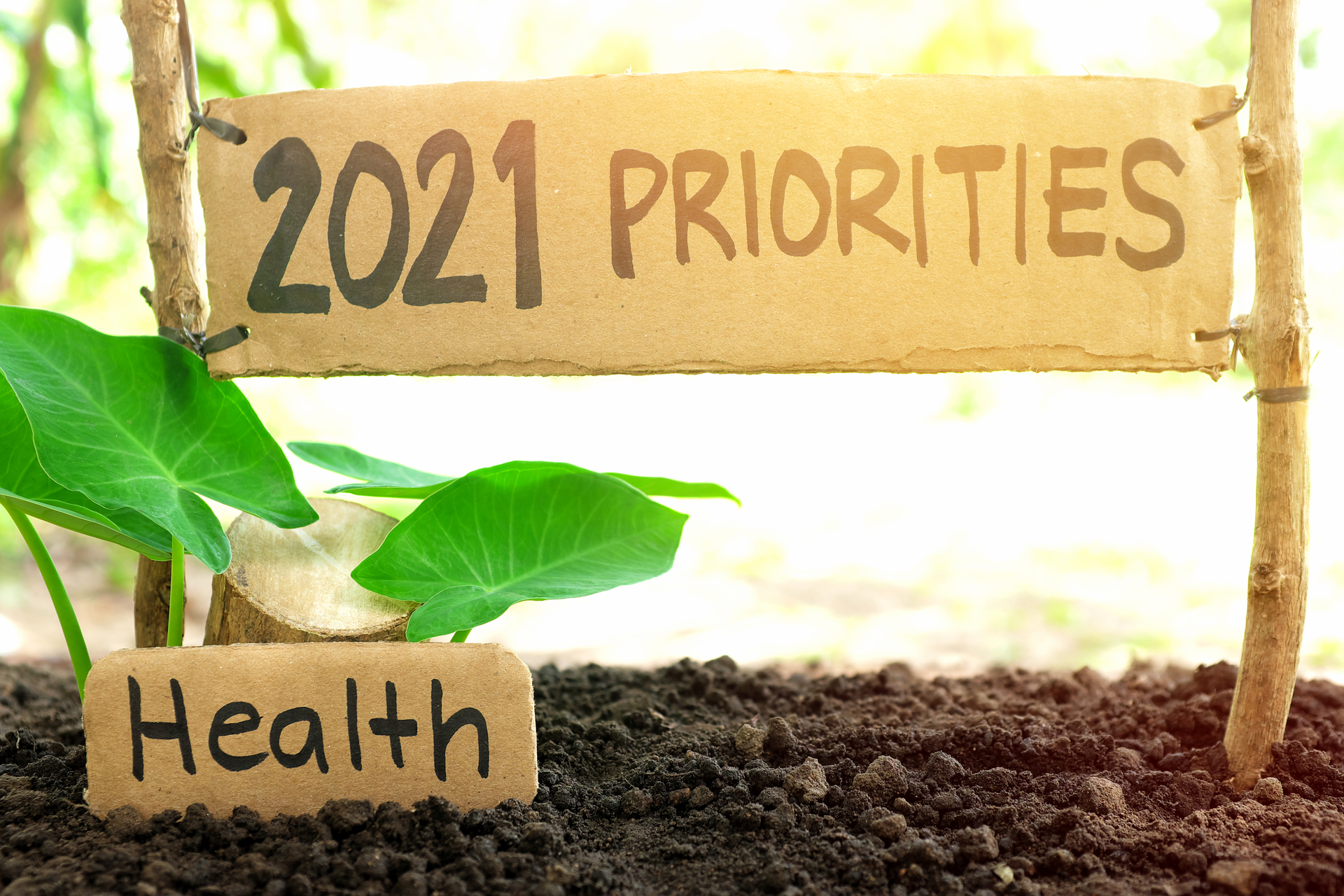 Health Insurance 2021 Priorities 601177dc96cb8