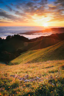 Dreamstime S 103861837 60b0630a83f11 Dreamstime S 103861837 60b0630a83f11