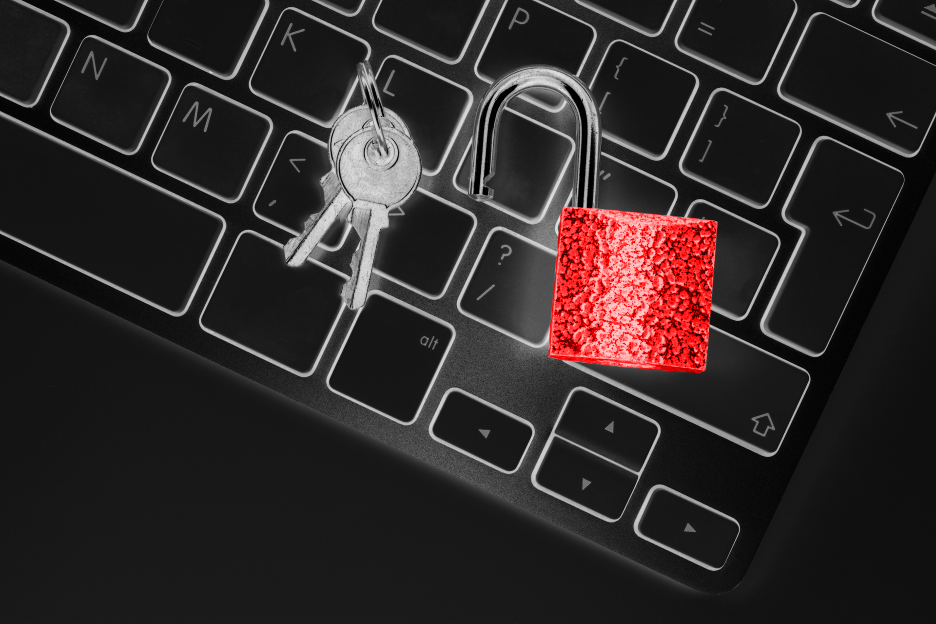 Dreamstime Xxl 98783269 630f76c7cdbb0