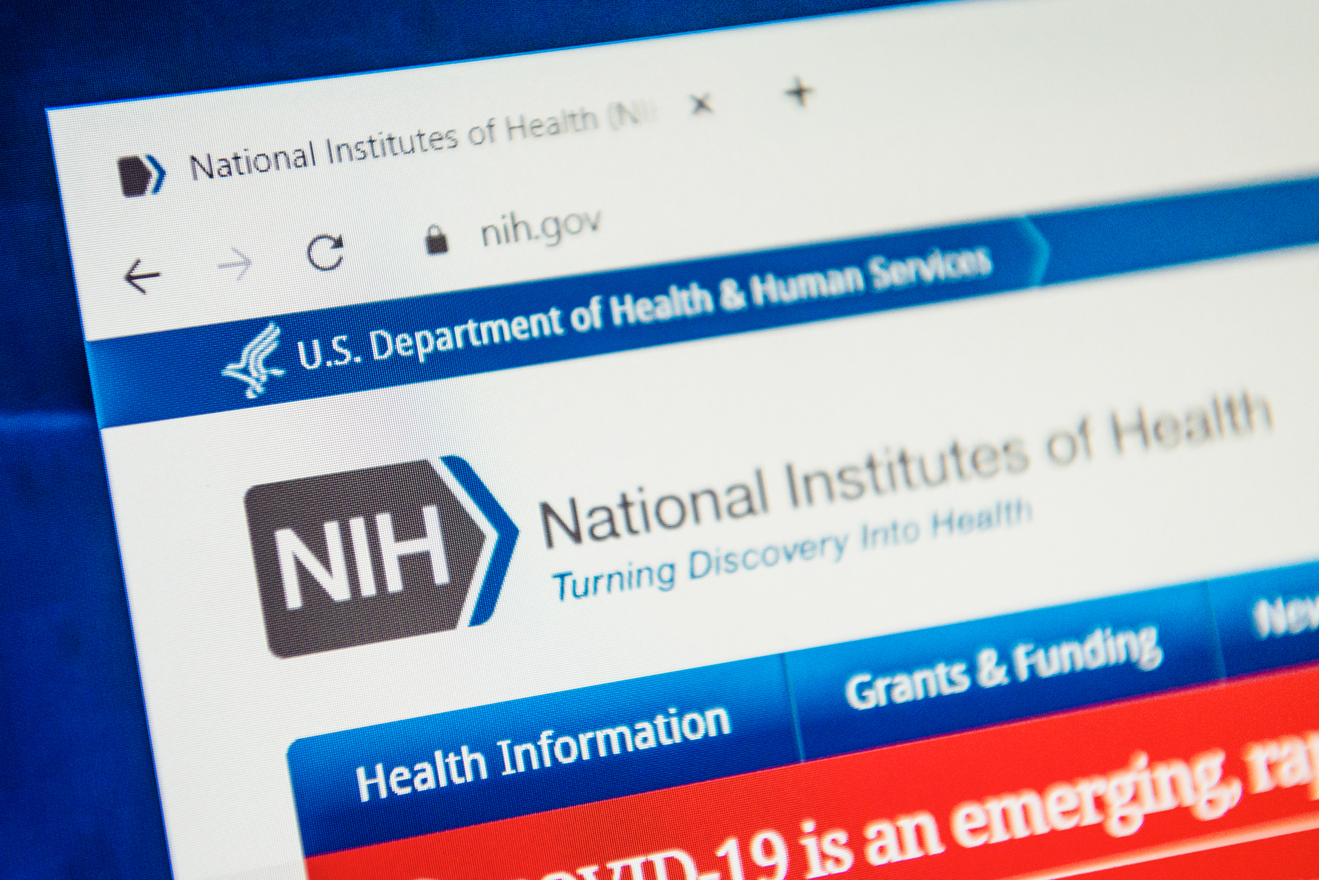 Dreamstime L 179273461 6362aa11e4efa