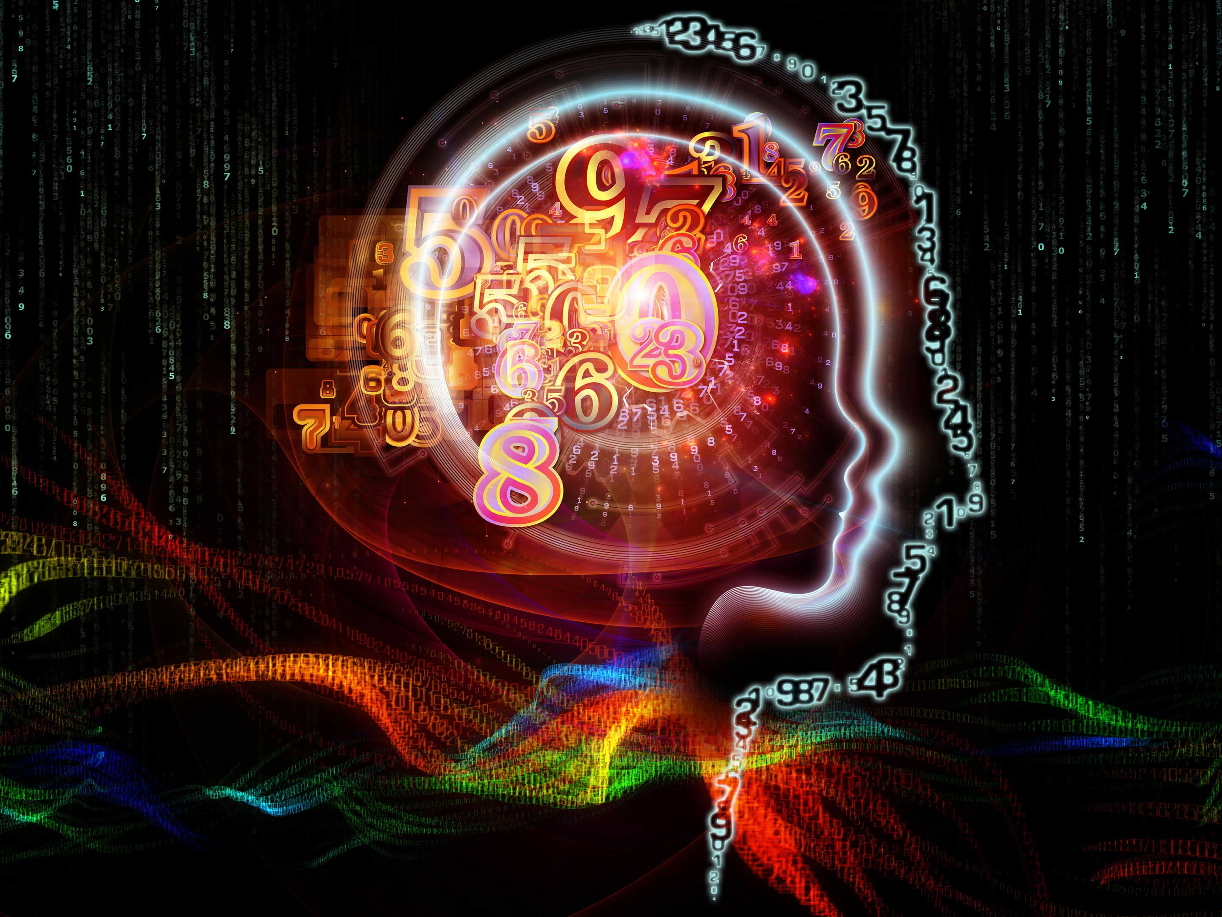 6765fb96dc0369631cc883ef Dreamstime Xxl 31387682