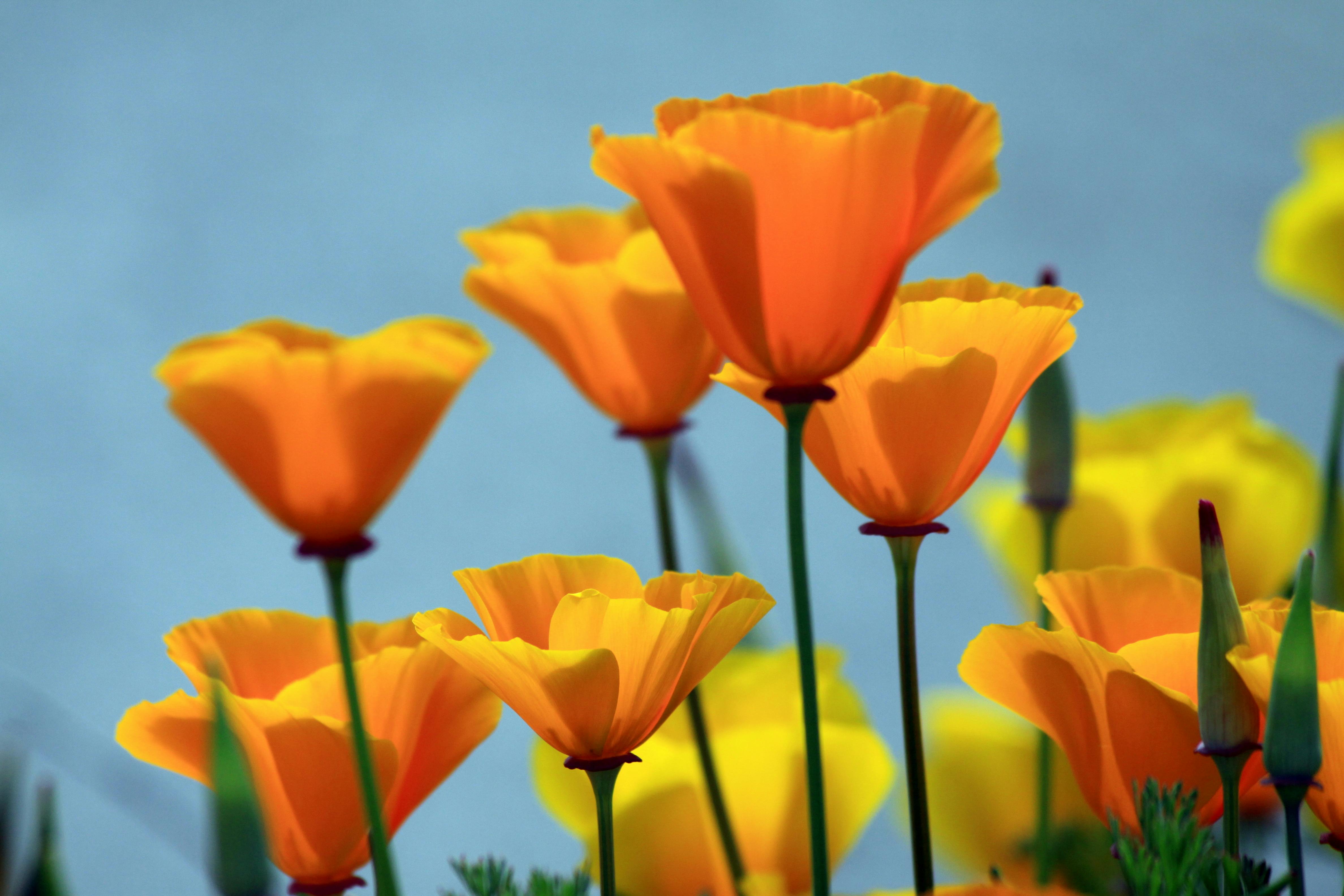 686dac74e0ba3d5b48038ba3 Dreamstime Xxl 14794336