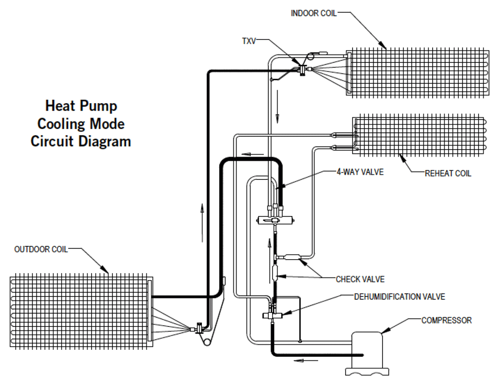 High Humidity Loads Conquering The Challenge In Commercial