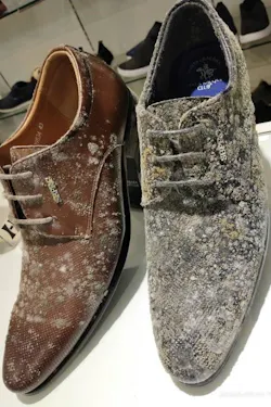 Mall3 5ebbace542496 Mall3 5ebbace542496