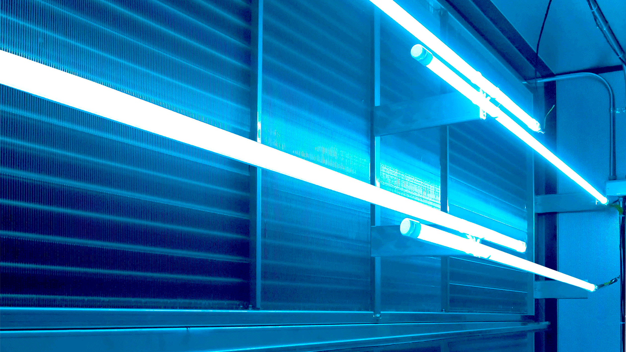 Hpac Ultraviolet Photo Pr 5ed689f67539e