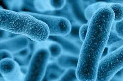 Download 5fb54d3c565a9 Download 5fb54d3c565a9