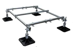 Shared Screenshot Rector Seal Big Foot Shared Screenshot Rector Seal Big Foot