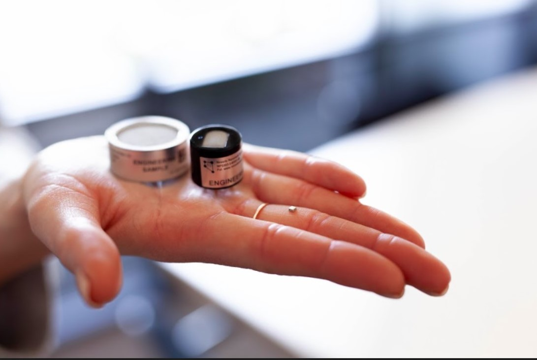 Shared Screenshot Nevada Nano Mps 618160fa08f60