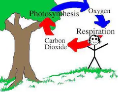 Shared Screenshot Clarks Micro Algae Shared Screenshot Clarks Micro Algae