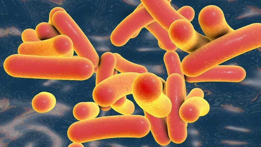 Lync Web Image Pathogen Mitigation 636870914e473