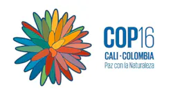 67116393b7ff90aa9111de57 Screenshot 20241017 141146 67116393b7ff90aa9111de57 Screenshot 20241017 141146