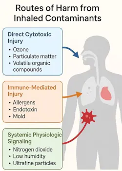 Figure 1: Pathways through which air contaminants affect human physiology. Figure 1: Pathways through which air contaminants affect human physiology.
