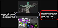 Figure 2: Human occupants shed many microbes into buildings which combine with existing microorganisms from outdoor and indoor sources. Building materials, ventilation, and use of spaces shape the dynamic indoor microbial communities through, “survival of the fittest.” This indoor building microbiome subsequently affects occupant microbiomes and health. Figure 2: Human occupants shed many microbes into buildings which combine with existing microorganisms from outdoor and indoor sources. Building materials, ventilation, and use of spaces shape the dynamic indoor microbial communities through, “survival of the fittest.” This indoor building microbiome subsequently affects occupant microbiomes and health.