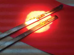 Cutaway of a laparoscopic instrument showing bioburden trapped inside of the square corners Cutaway of a laparoscopic instrument showing bioburden trapped inside of the square corners