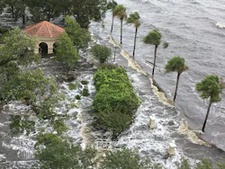 Alise Howlett Alise Howlett