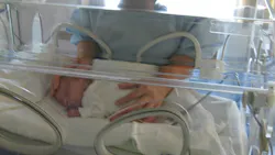 Pre 5cb88f4f78b90 Pre 5cb88f4f78b90