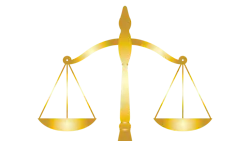 0000 5cc99948727e6 0000 5cc99948727e6