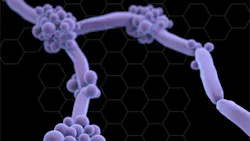 Photo Courtesy Centers For Disease Control And Prevention 0 5cee8c96f32ea Photo Courtesy Centers For Disease Control And Prevention 0 5cee8c96f32ea