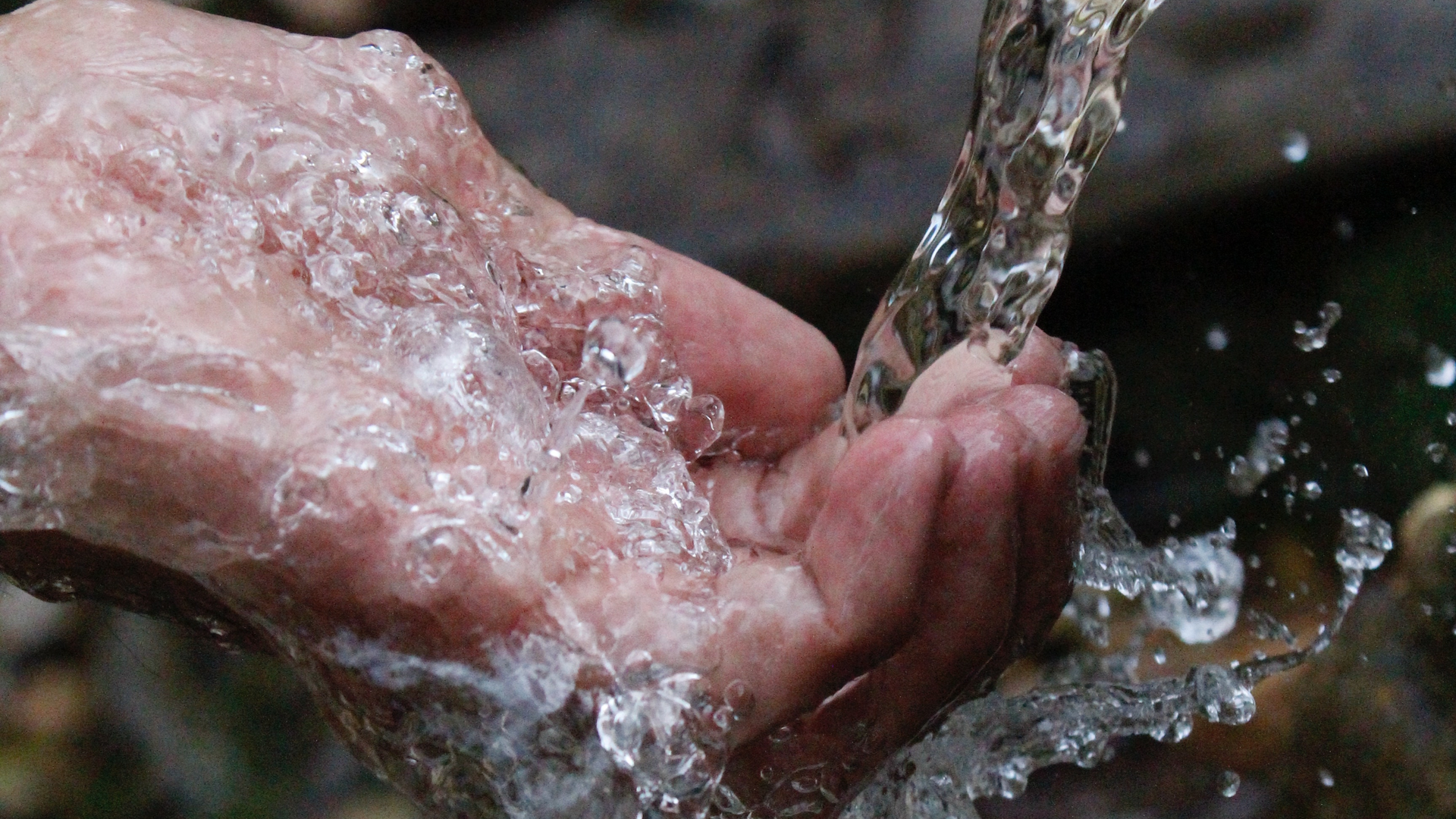 Photo By Semad Deldar 5cf66afa4f13a