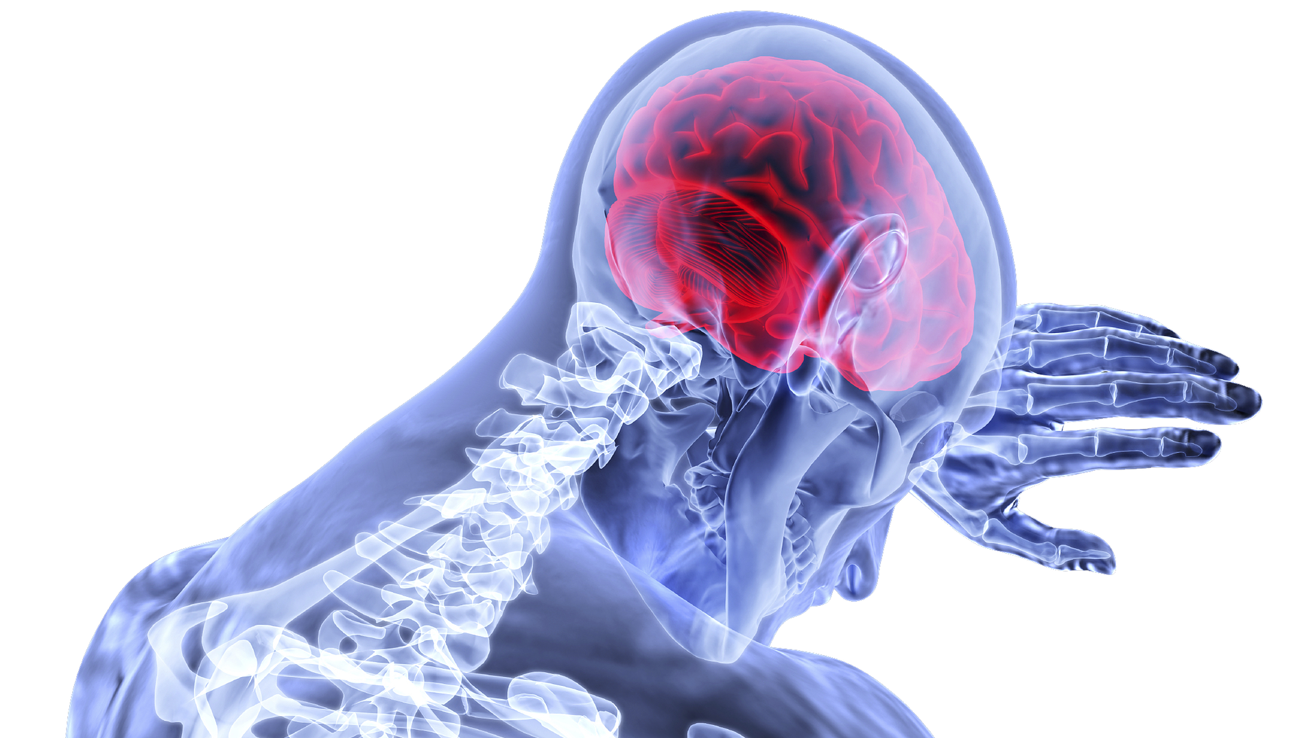 Brain 3168269 1920 5d2c9b136f5bb