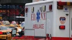 Photo by Alan Batt Photo by Alan Batt