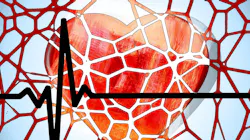 Heart 1222517 1920 5d67eed4ab1cf Heart 1222517 1920 5d67eed4ab1cf