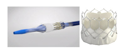 Photo: The Food and Drug Administration