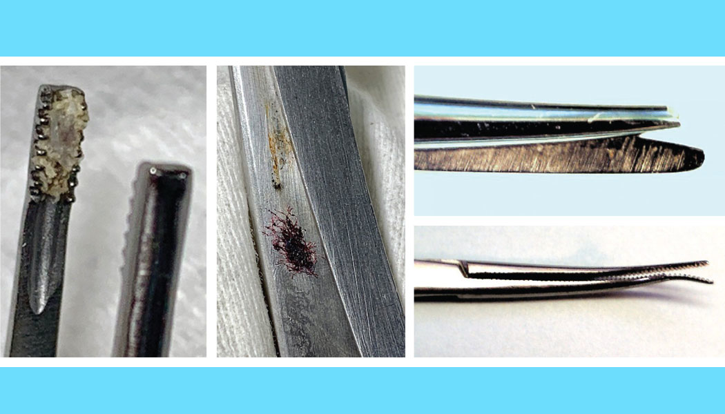 Cs Primary 5dea755e3531a