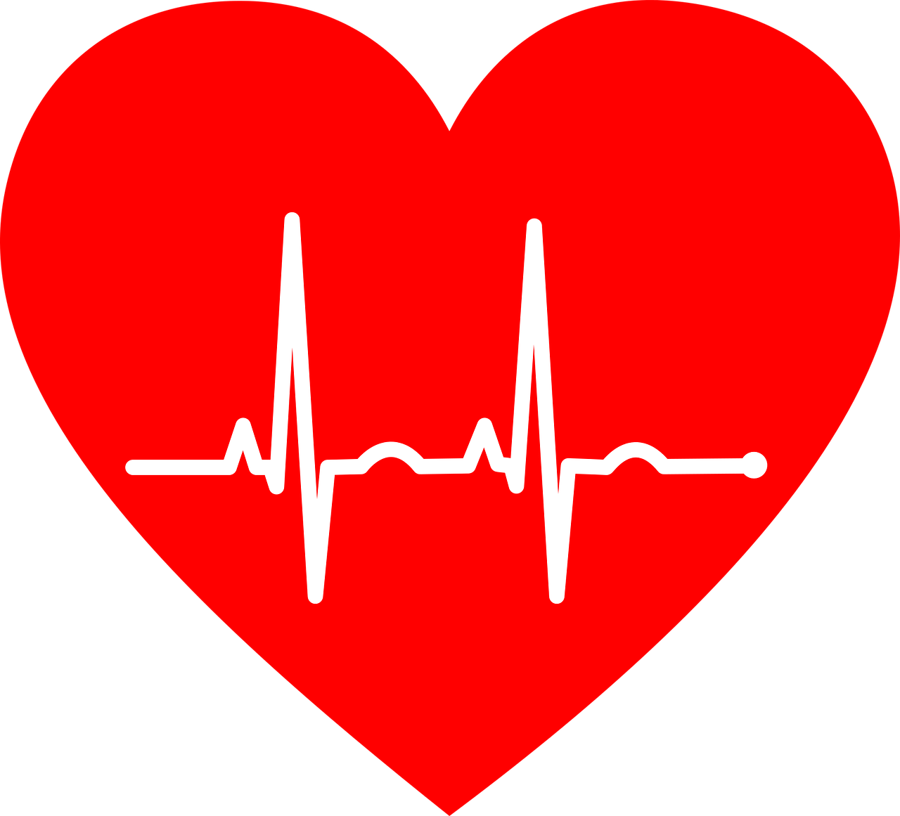 Ut Southwestern Medical Center Traditional Risk Factors Predict Heart Disease About As Well As Sophisticated Genetic Test Pic 2 20 20du Ekg 2069872 1280 Pixabay 5e4ea3989b8ca