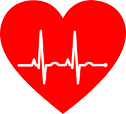 Ut Southwestern Medical Center Traditional Risk Factors Predict Heart Disease About As Well As Sophisticated Genetic Test Pic 2 20 20du Ekg 2069872 1280 Pixabay 5e4ea3989b8ca Ut Southwestern Medical Center Traditional Risk Factors Predict Heart Disease About As Well As Sophisticated Genetic Test Pic 2 20 20du Ekg 2069872 1280 Pixabay 5e4ea3989b8ca