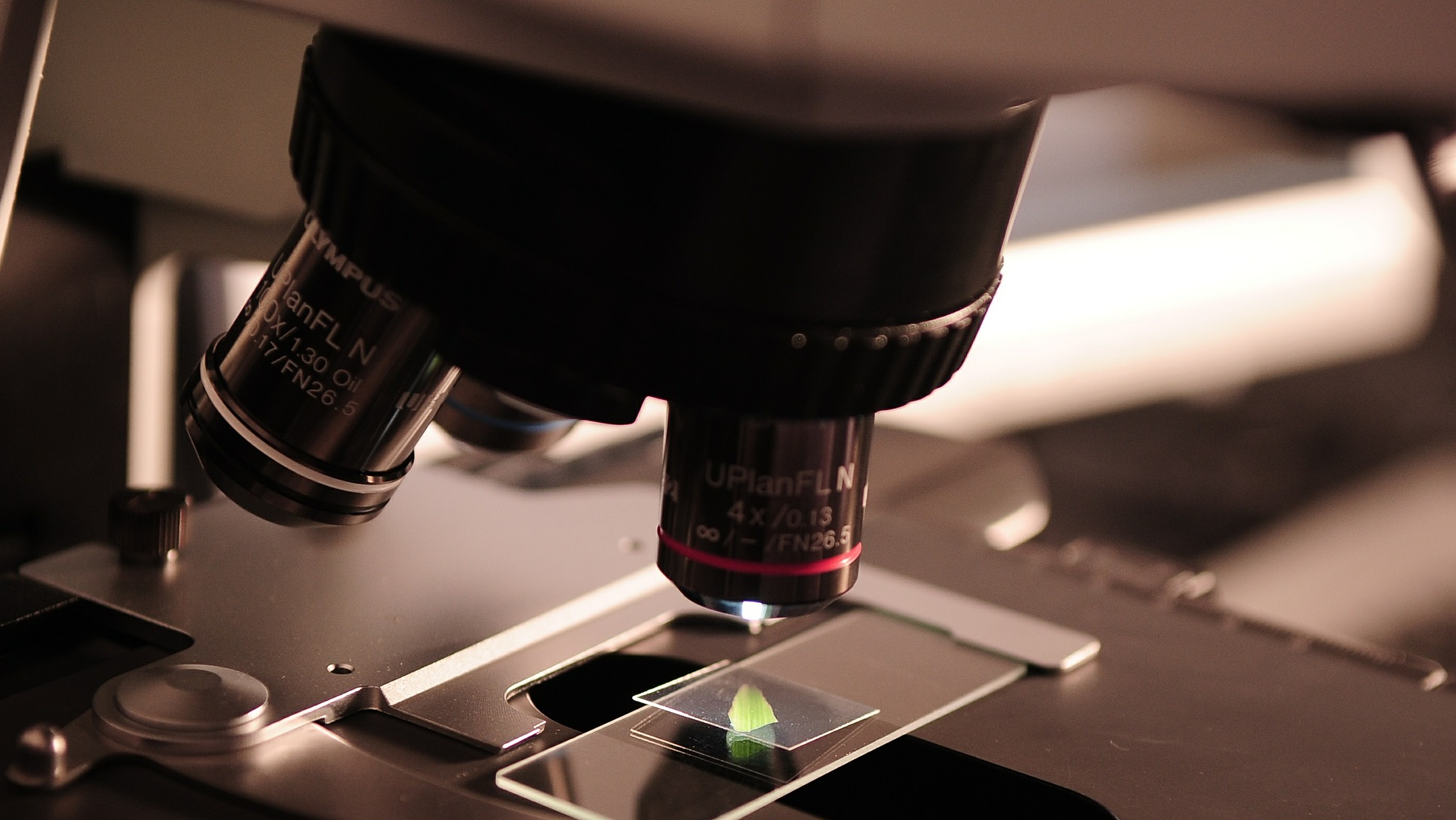 Utsw Researchers And International Collaborators Find Human Protein That Potently Inhibits Coronavirus Pic 3 10 20du Microscope 385364 1920 Pixabay 5e67a87ea1a5d