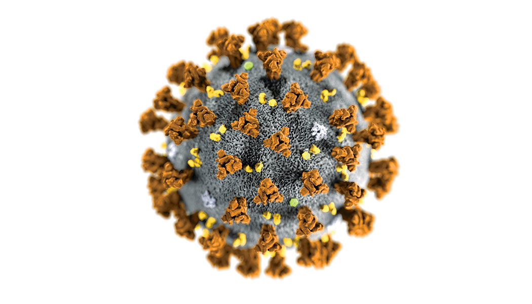 Periscope Primary 5e9a2202cdc46