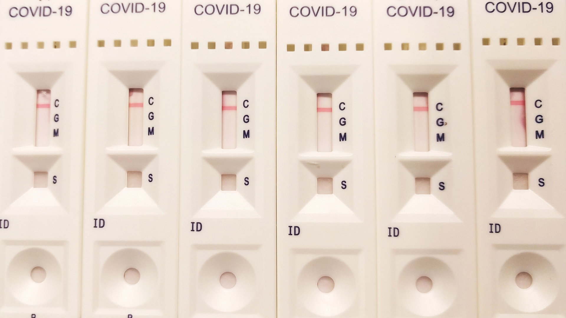 Mayo Clinic Releases Answers On Efficacy Of Antibody Testing For Covid 19 Pic 5 21 20du 49776762141 2b448c8592 K Fda Flickr 5ec686b5438b7