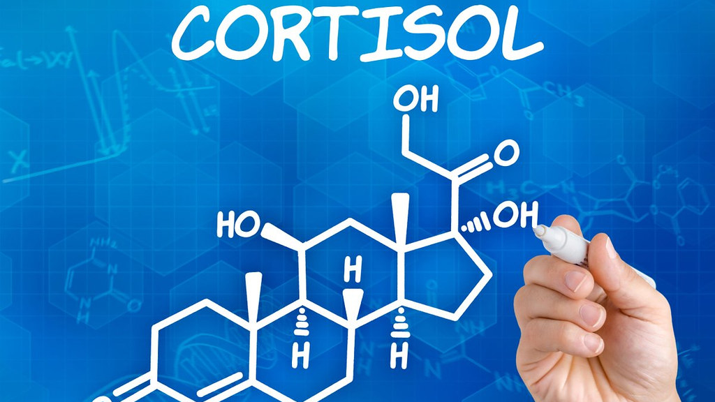 High Cortisol Levels Associated With Greater Risk Of Death From Covid 19 Pic 6 24 20du 38791624894 D5e9c5765e B Fda Flickr 5ef369b67c47d