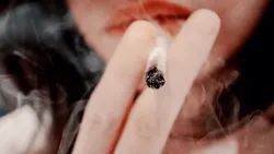 Who S New Toolkit Aims To Stop Tobacco Industry Exploitation Of Children Young People Pic 6 1 20du 29409602116 402571ef22 K Fda Flickr 5ed5117775c11 Who S New Toolkit Aims To Stop Tobacco Industry Exploitation Of Children Young People Pic 6 1 20du 29409602116 402571ef22 K Fda Flickr 5ed5117775c11