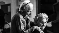 Image by eberhard grossgasteiger from Pixabay Image by eberhard grossgasteiger from Pixabay