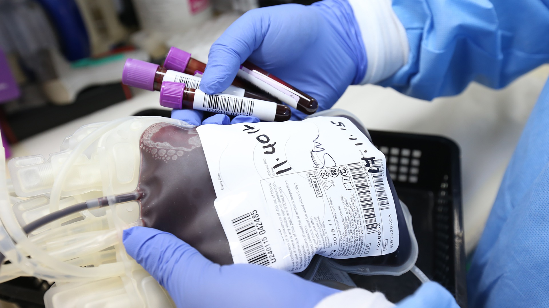 Image by Ahmad Ardity from Pixabay