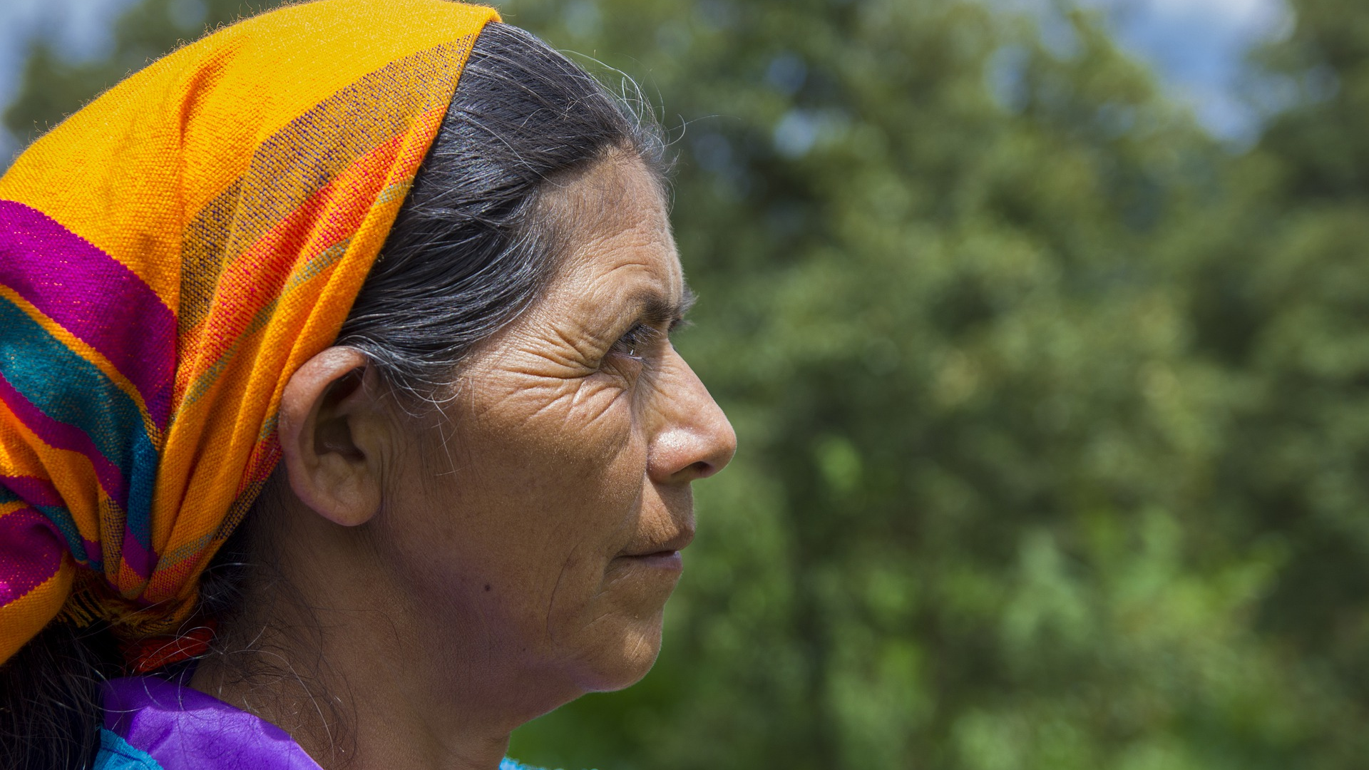 Image by Marco Vasquez from Pixabay