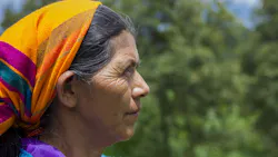 Image by Marco Vasquez from Pixabay Image by Marco Vasquez from Pixabay