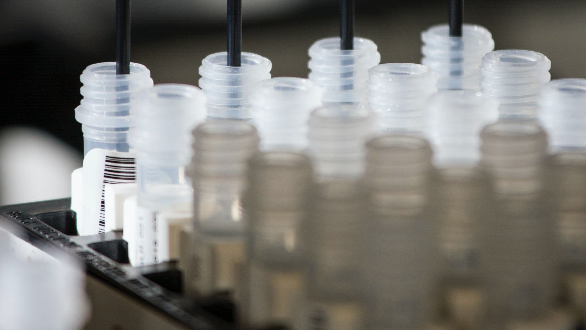 Photo by National Cancer Institute on Unsplash