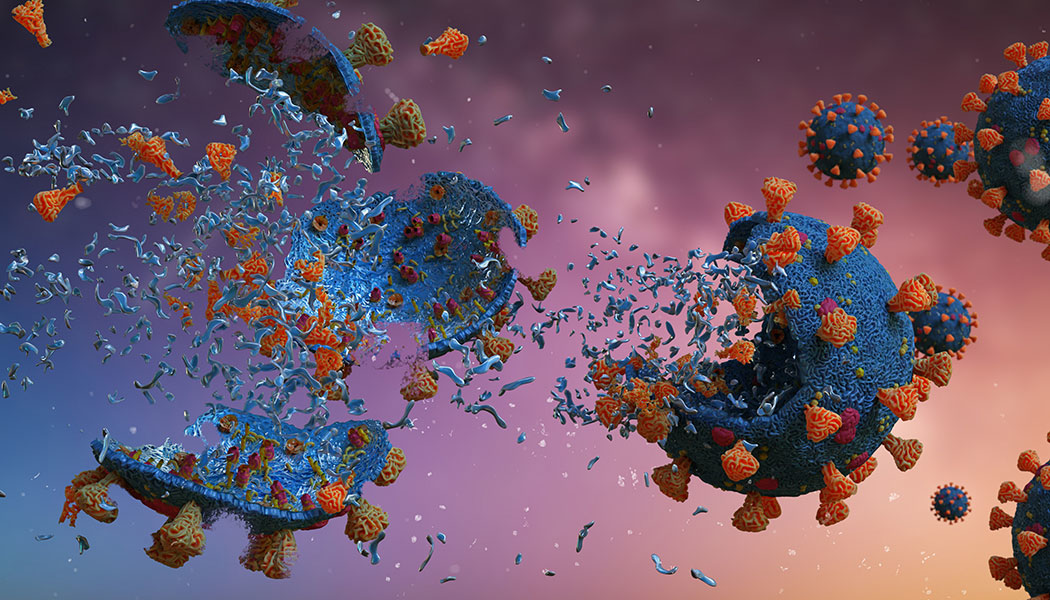 Ip Primary 5f8d9852c7904