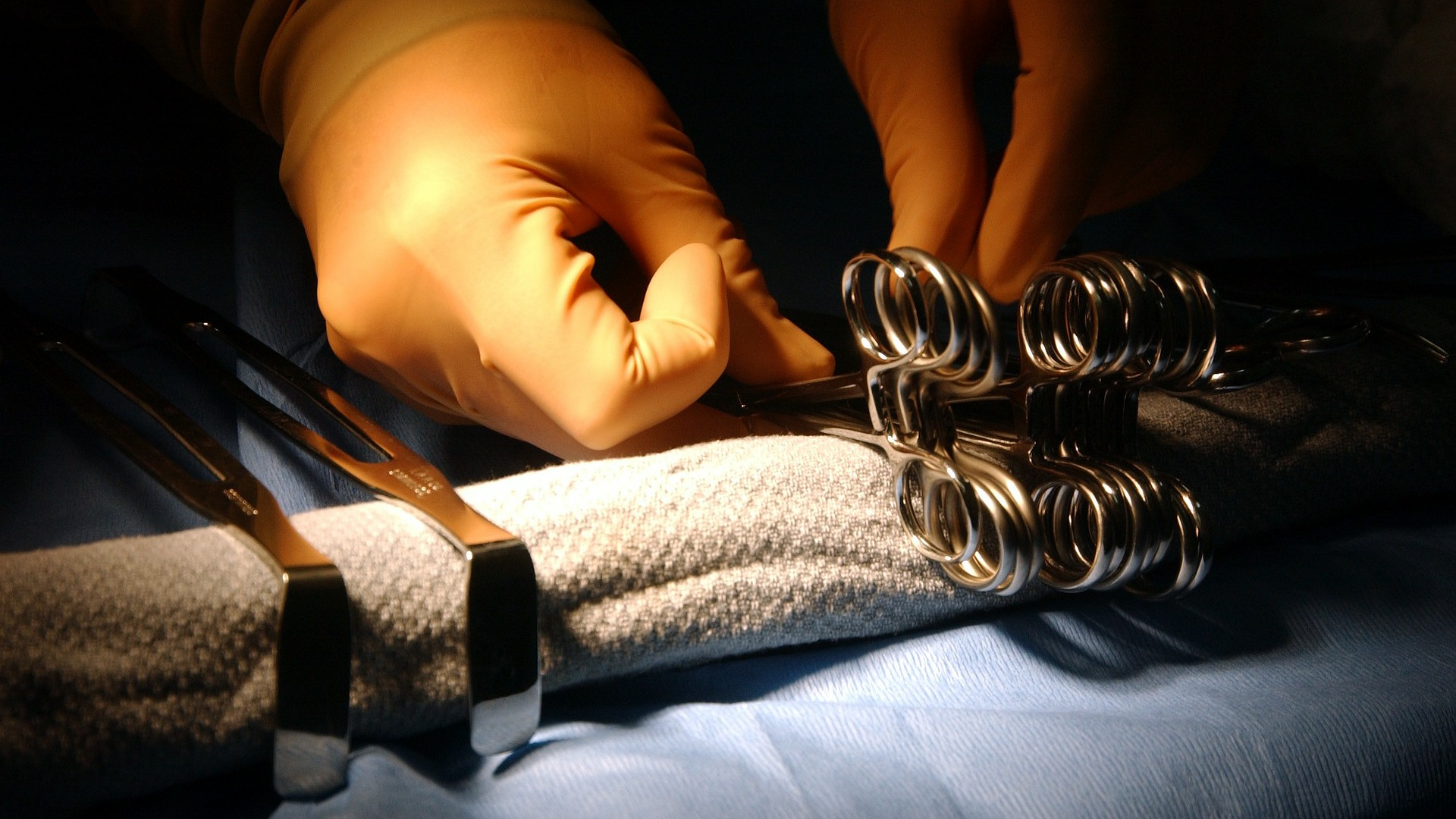 Image by David Mark from Pixabay