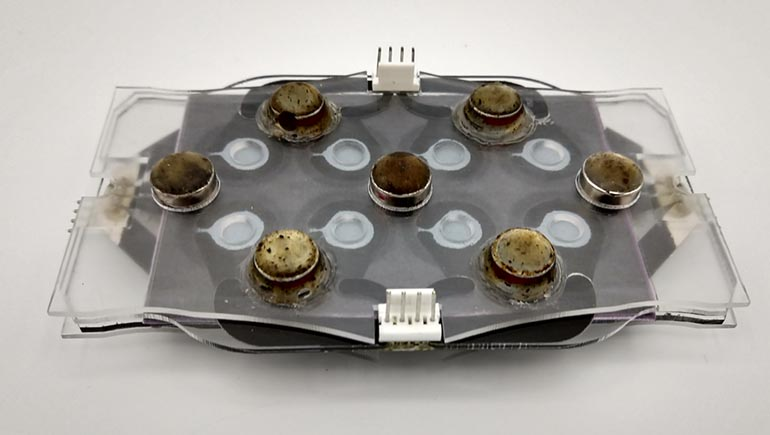 Photo courtesy of Binghamton University, SUNY