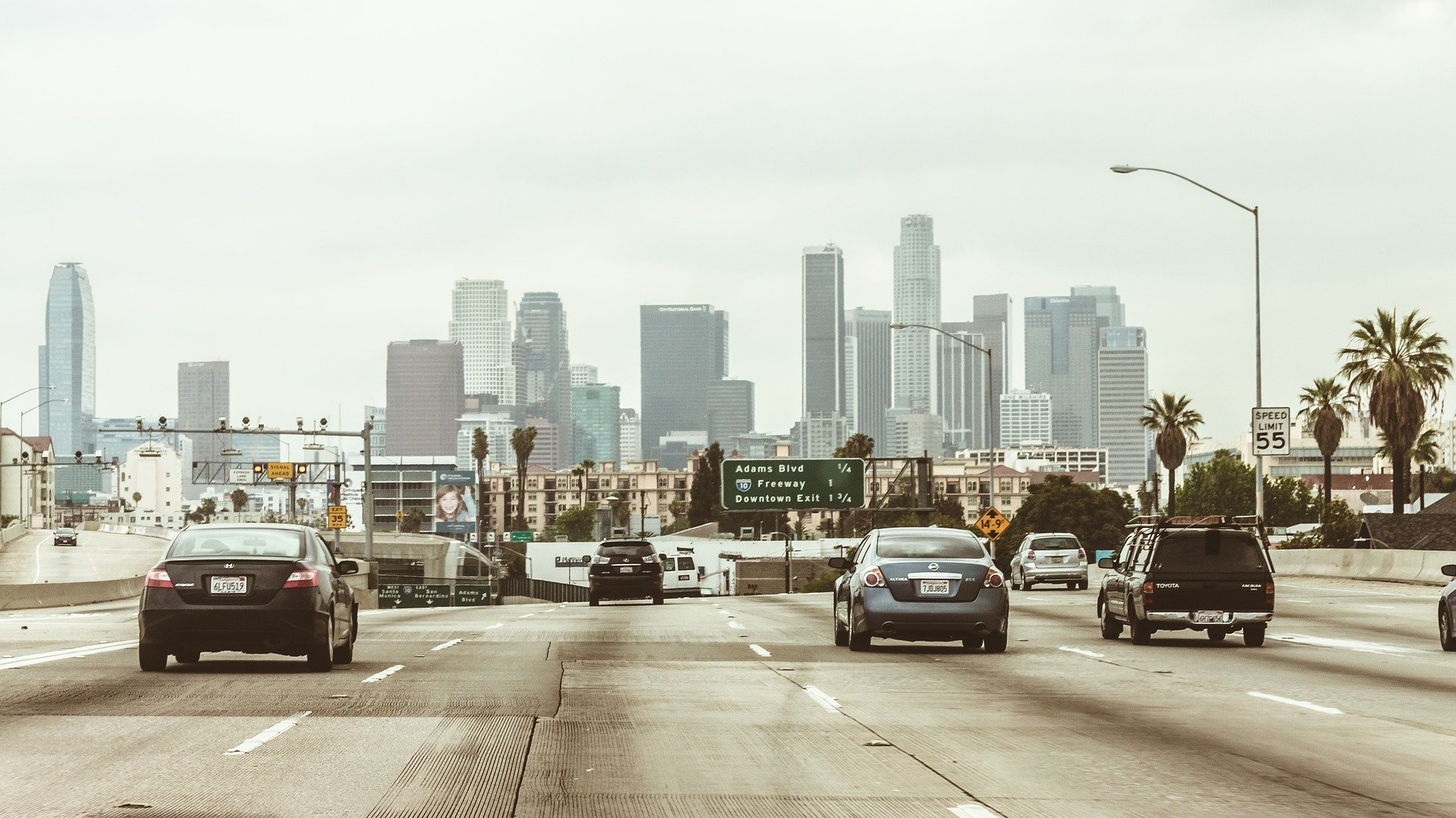 Image by Maxx Girr from Pixabay