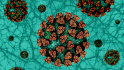 Image by Gerd Altmann from Pixabay Image by Gerd Altmann from Pixabay